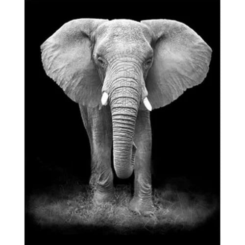 Kit Pintura Numerada Terapêutica - Elefante P&B