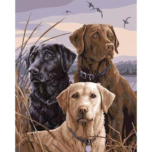 Kit Pintura Numerada Terapêutica - Labradores