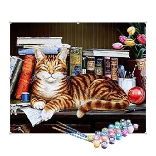 Kit Pintura Numerada Terapêutica - Gato místico na biblioteca
